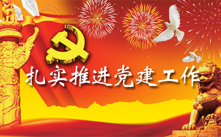 扎实推进党建工作